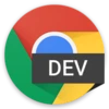 Chrome Dev 156.0.8063.0 Free Download For Window icon